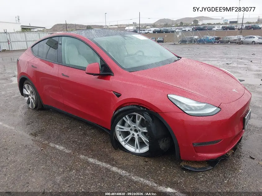 2021 Tesla Model Y