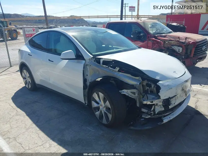 2021 Tesla Model Y