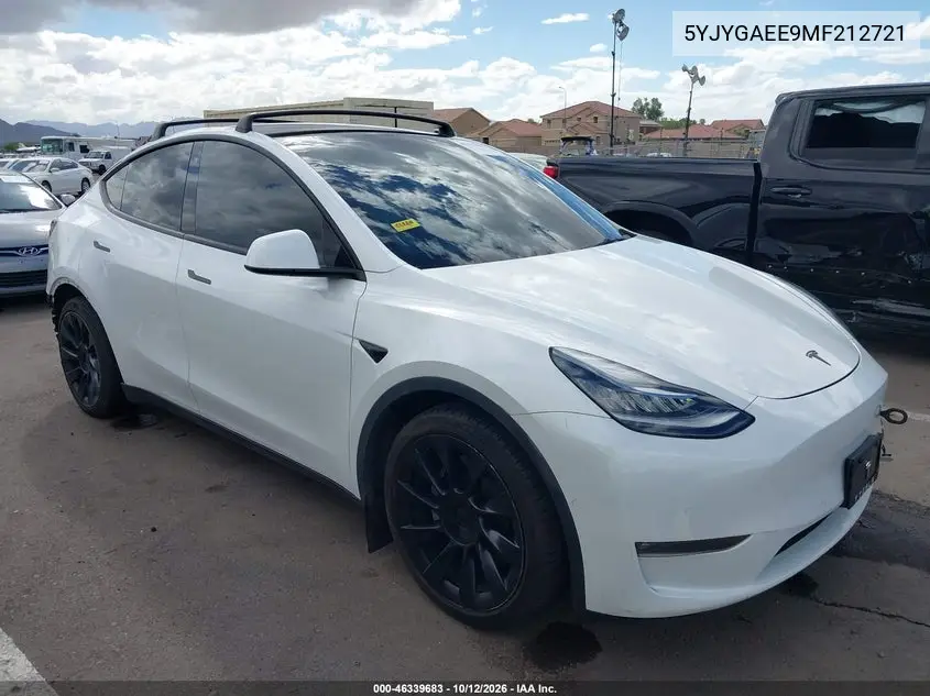 2021 Tesla Model Y