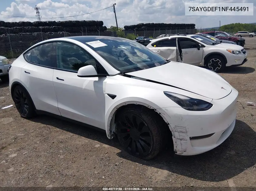 2022 Tesla Model Y