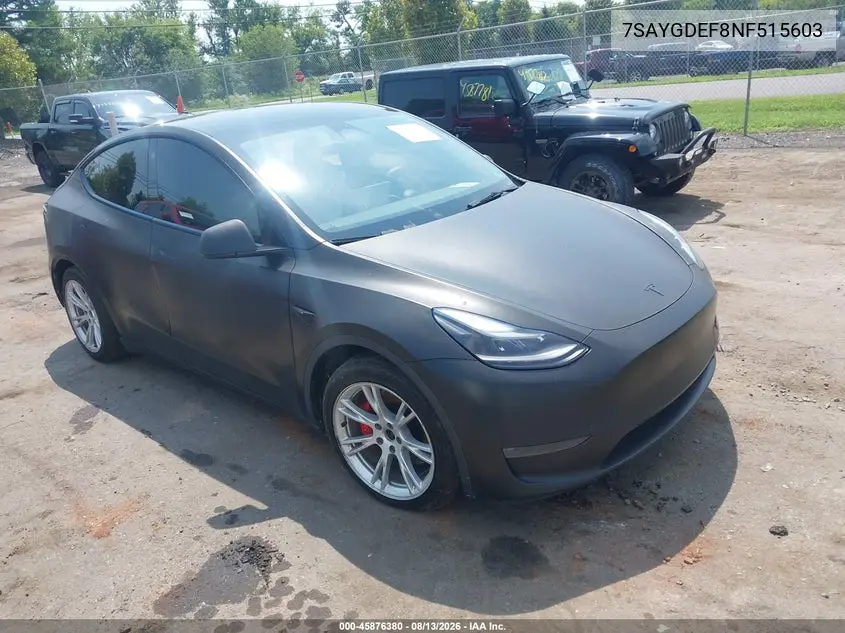 2022 Tesla Model Y