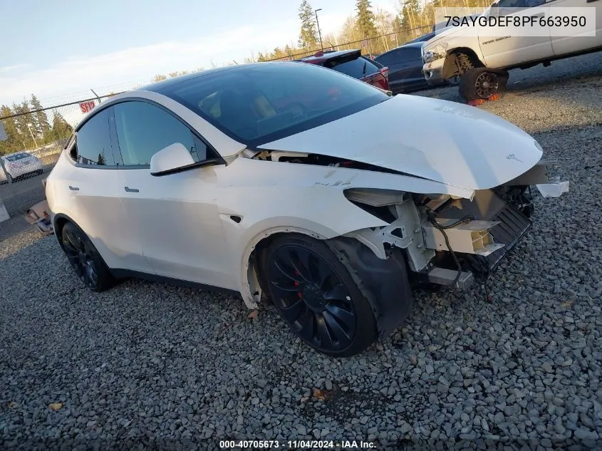 2023 Tesla Model Y
