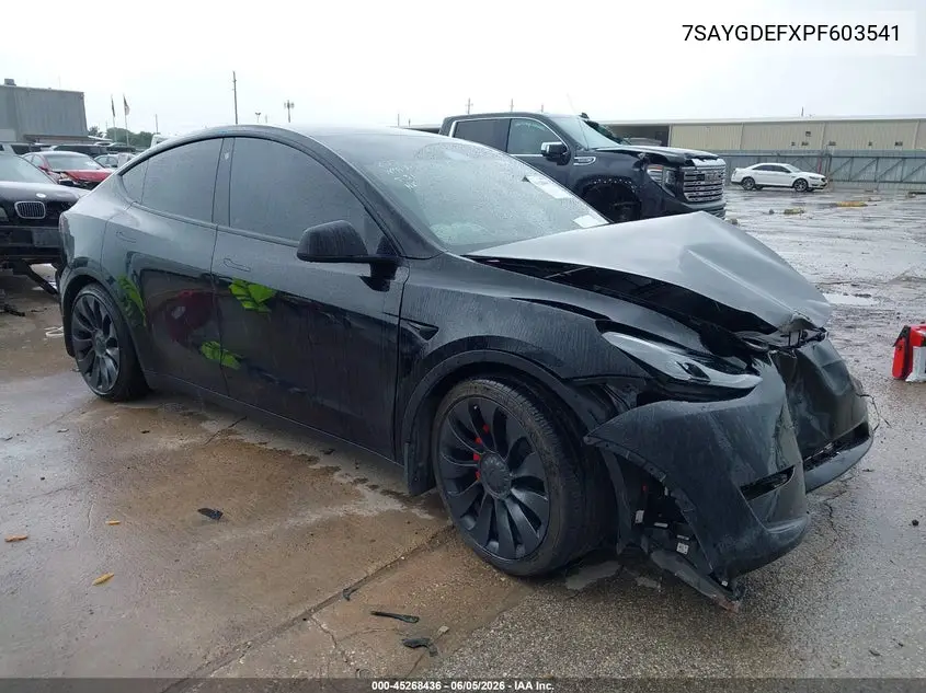 2023 Tesla Model Y