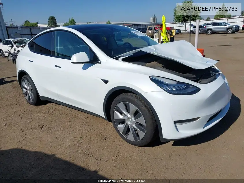 2023 Tesla Model Y