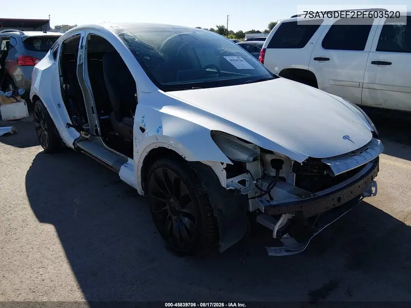 2023 Tesla Model Y