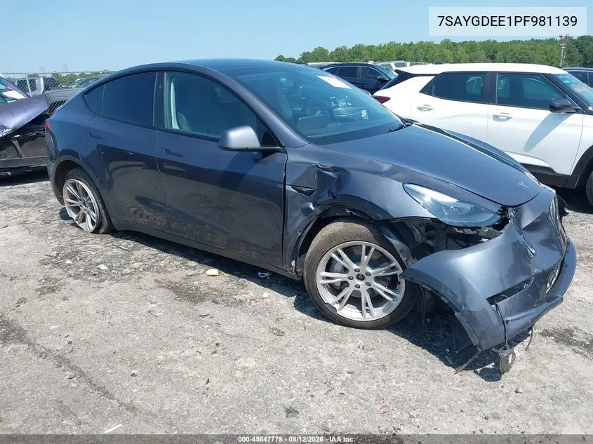 2023 Tesla Model Y