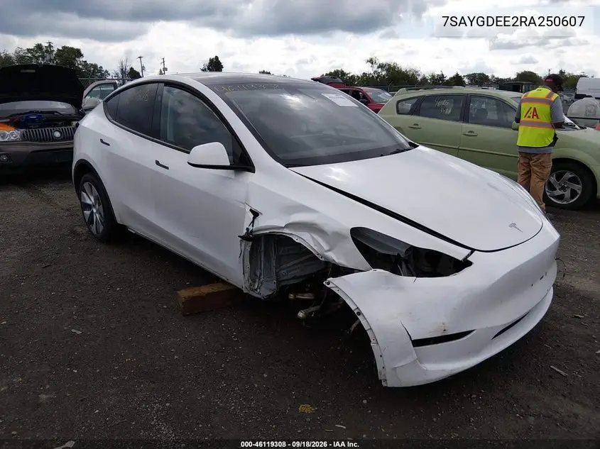 2024 Tesla Model Y