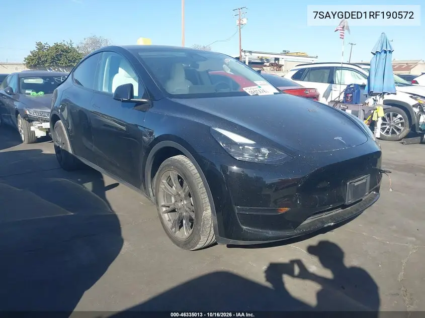 2024 Tesla Model Y
