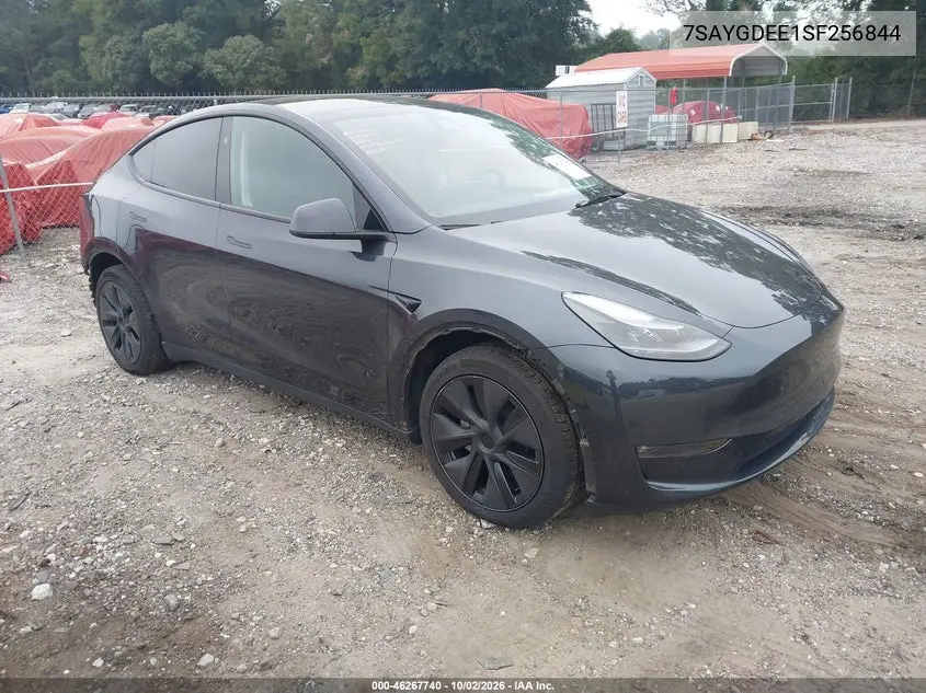 2025 Tesla Model Y