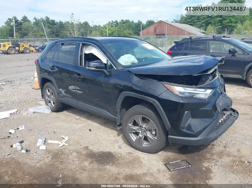2024 Toyota RAV 4