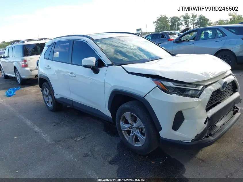 2024 Toyota RAV 4